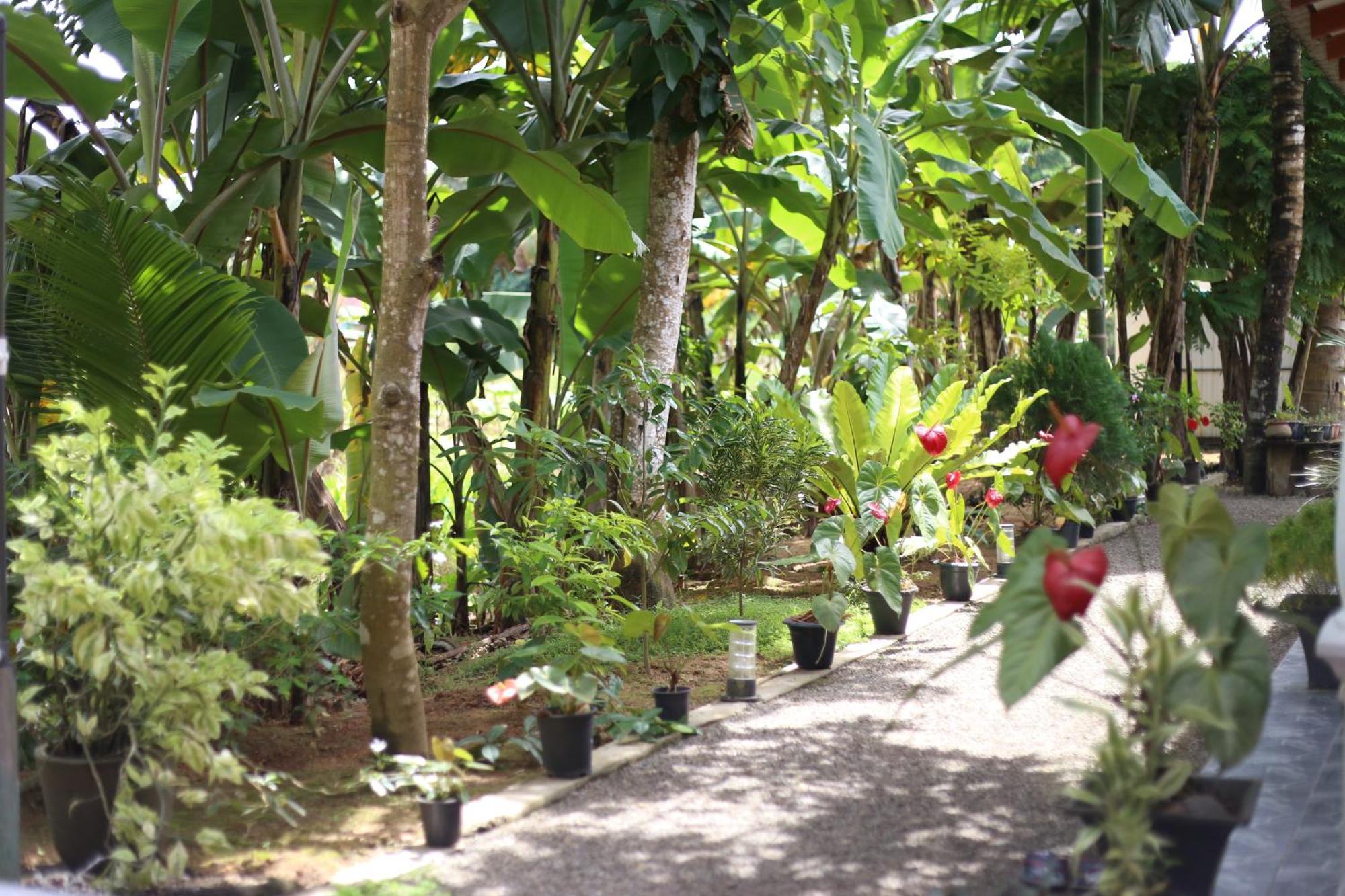 Bakery Family Guest House Mirissa Exterior photo